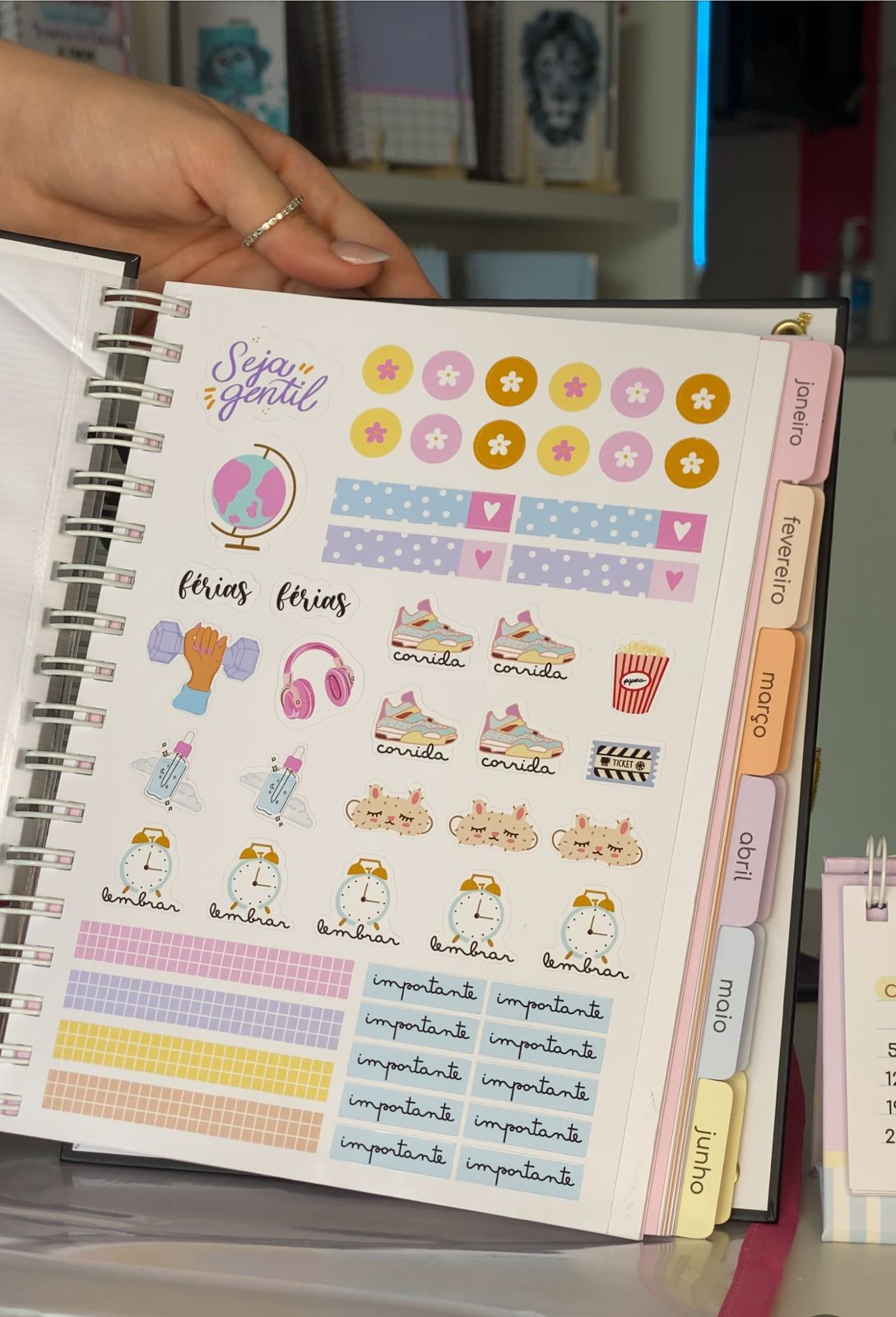 Miolo Planner 01