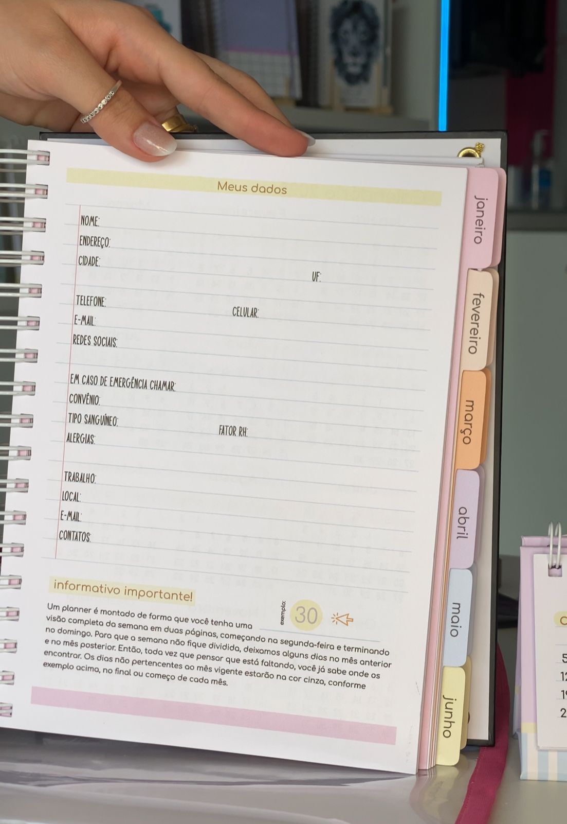 Miolo Planner 02
